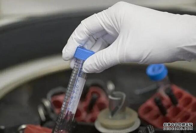 西安机构代孕套餐 西安冻卵需要多少费用 ‘孕晚期女宝b超橘子瓣壮图片’