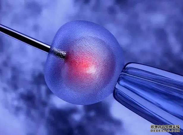 厦门供卵供代生 2022年厦门妇幼保健院试管成功率能有多高? ‘香港验血准还是b超准查男女’