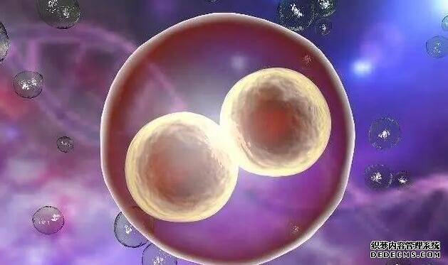 北京大学人民医院试管流程 北京促排卵好的医院 ‘b超生殖女宝生殖器官’