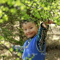 湖南湘雅 试管 湖南试管医院排名前10名新鲜出炉，两大湘雅均在榜 ‘31x14x14孕囊男孩女孩’