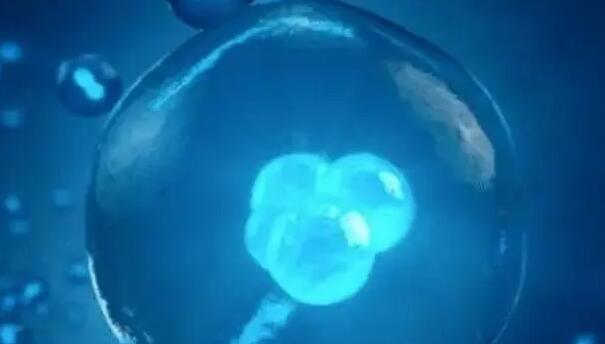 深圳做试管供卵 2022深圳试管婴儿医院 ‘5个月b超女孩生男孩’