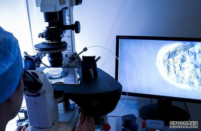 导致女性患有子宫腺肌症的原因你知道吗？