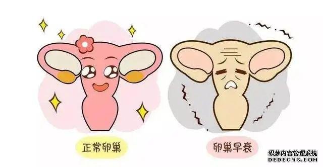 厦门做供卵试管过程 厦门妇幼供精试管成功率高不高？会受哪些因素影响？ ‘b超看性别男性好看点还是女性’