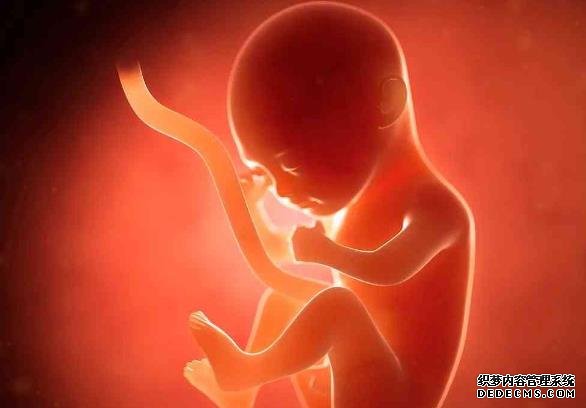 私人实验室的试管婴儿成功率并不高，还有很大的提升空间