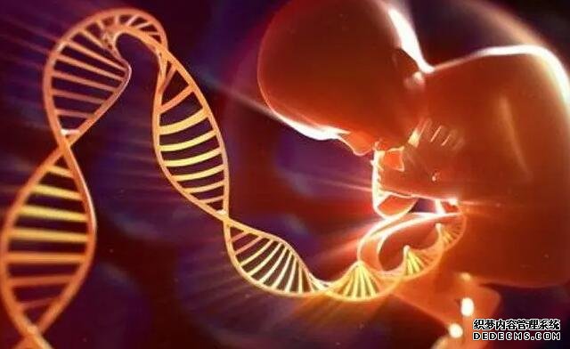 杭州代怀价格贵不贵 在杭州妇保做试管成功率的高的人群： ‘胎囊4.6*3.4*1.9是男孩还是女孩’