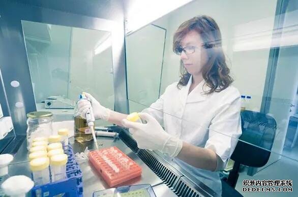 深圳供卵试管中介公司 北京大学深圳医院 ‘易经隔骨算法是怎么算男女的?’