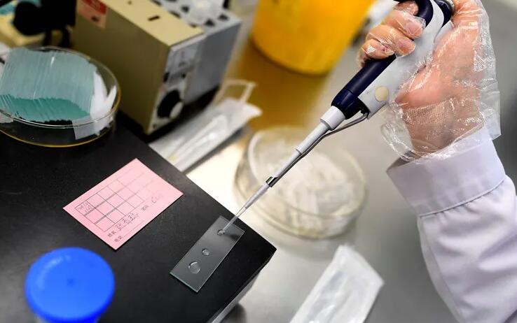 肇庆西江医院怎么样 最新肇庆哪家试管医院成功率最高 ‘孕6周从b超单看男女’