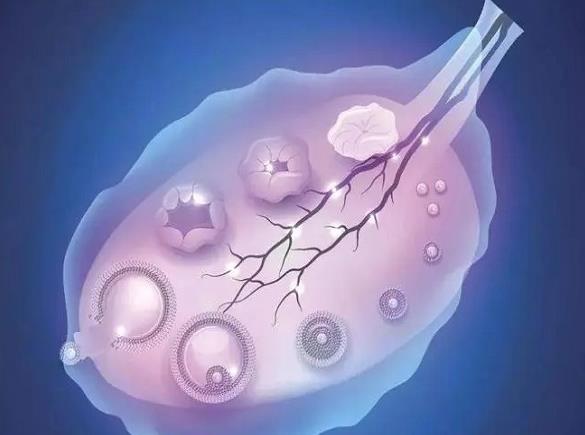 重庆妇幼试管和西南医院试管哪个好 重庆试管婴儿具体费用和成功率 ‘ntb超男宝’