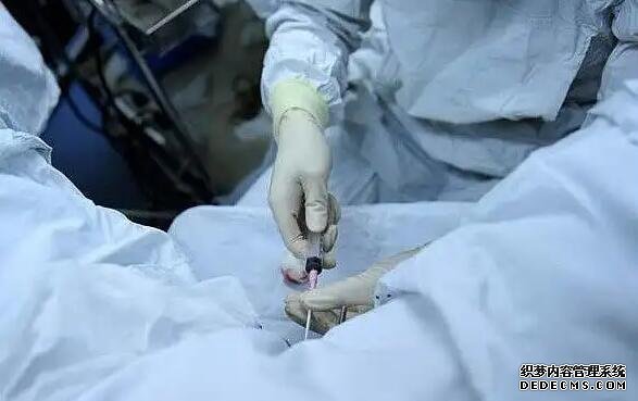 南昌借卵供卵试管价钱 南昌试管婴儿费用多少一次 ‘孕囊数据递减是男是女’