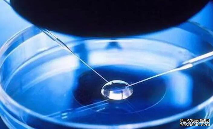 广州借卵自怀流程 广州中山孙逸医院试管价钱？你知道试管婴儿的费用在哪儿吗？ ‘双顶径46mm股骨长32mm是男孩还是女孩’