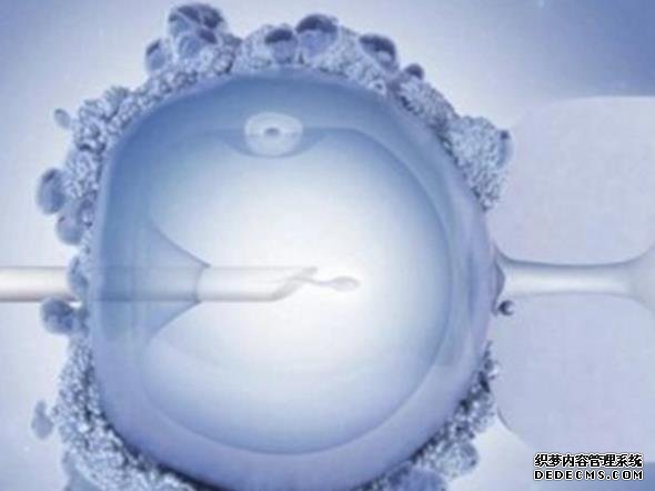 2023最新河南合法供卵生殖中心名单公布！附排名前十医院详情一览