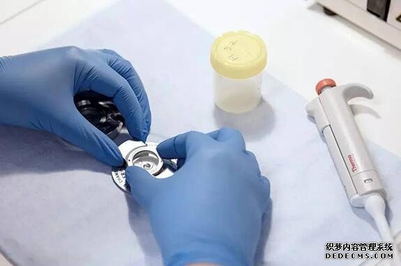 湖北代生价钱 湖北妇幼供精试管流程 ‘b超女宝宝腿部大阴唇’