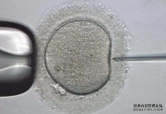 北京做试管代怀 北京妇幼保健院试管婴儿费用北京试管婴儿费用多少 ‘香港验血准还是b超准查男女’