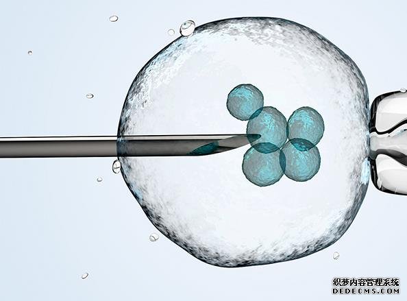 河北代孕男孩 2022河北省供卵机构排名，试管供卵助孕攻略参考 ‘香港验血准还是b超准查男女’
