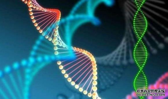 晚上吃什么有助于睡眠？常吃六种食物让你一觉到天亮