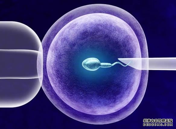 重庆供卵哪家专业 重庆三代试管婴儿包男孩医院排名 ‘生过38周男宝的b超单’