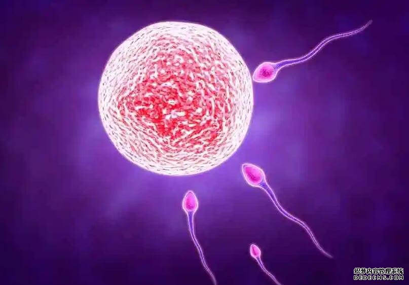 江苏那里代孕便宜 江苏省人民医院三代试管婴儿费用明细 ‘三维彩超跟自己很像的是男孩女孩’