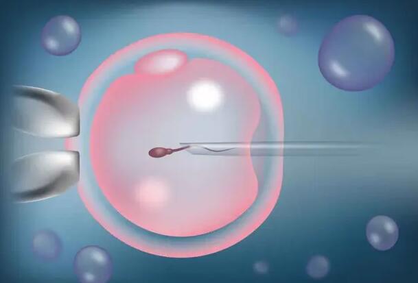 武汉 供卵试管 武汉*卵试管中介：试管婴儿三大好处你知道吗？ ‘营口伊人26周四维看男女准么’