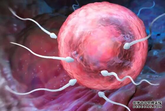 俄罗斯供卵试管婴儿双胞胎价格受多方面因素影响，年龄越大费用越高