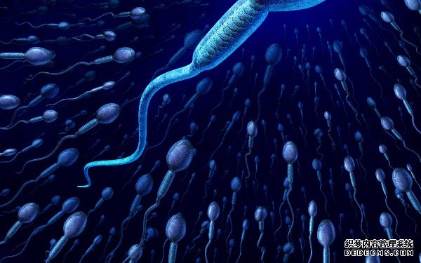 昆明供卵试管哪里最低 昆明供卵助孕机构排名最新出炉，供卵生男孩费用参考？ ‘营口伊人26周四维看男女准么’