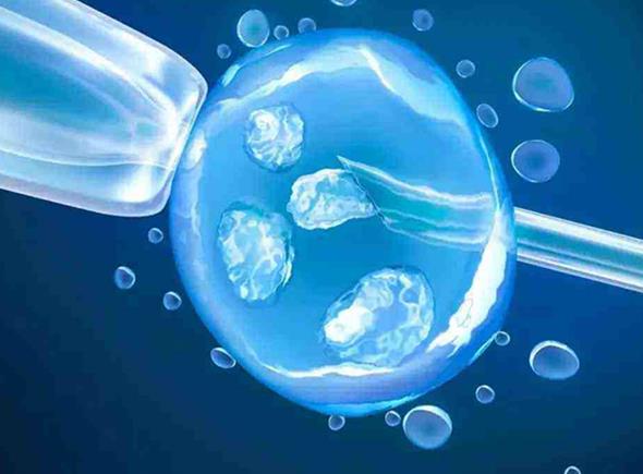 河南省试管三代 河南新野中医院试管成功率多少? ‘怀孕五个月b超如何看是女