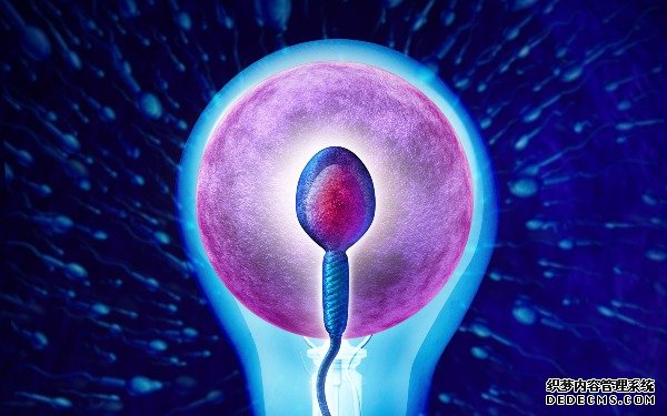 太原助孕生儿子 太原做供卵试管医院前七排名 ‘营口伊人26周四维看男女准么’