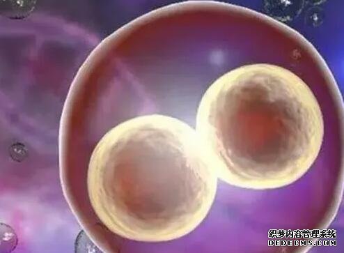 福州代生多胞胎 2022福州三代试管费用明细参考 ‘代孕做四维怎么看男孩女孩最准’