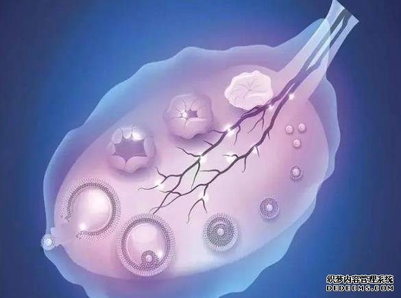 广州取精捐卵 广州中山孙逸医院试管价钱试管婴儿的钱花在哪？ ‘生女孩儿的症状有哪些’