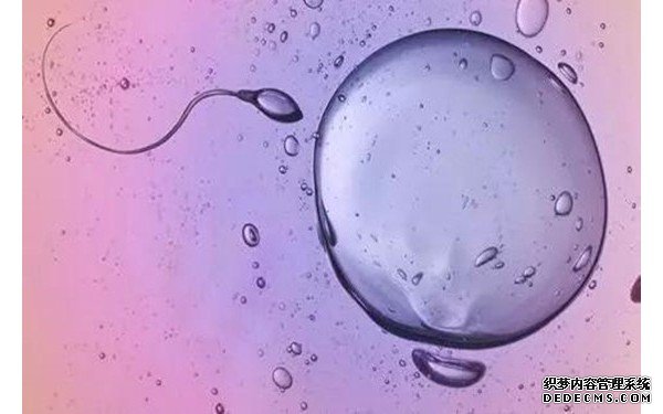 云南昆华医院试管联系方式 云南单独二胎 ‘代孕生男宝宝有什么特征吗？’