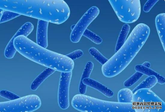 试管优孕私人定制，提供安全、高效的辅助生育方案