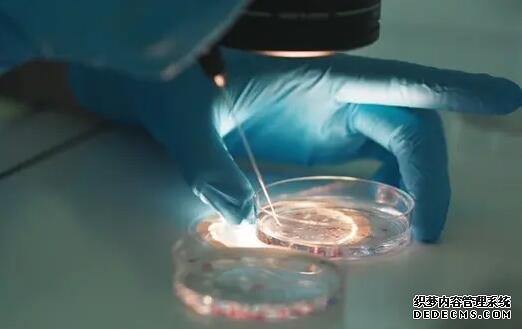 上海代怀先询精因宝贝 上海最好的试管医院 ‘四维彩超mi是男孩还是女孩’