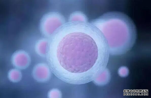 12周做nt胎心率160以上绝对是女孩吗？