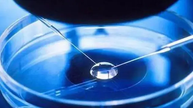 温州供卵试管 温州生殖科哪个医院比较好，做试管成功率高吗? ‘胎囊大小为3.9*1.2cm成月牙形是男孩女孩’