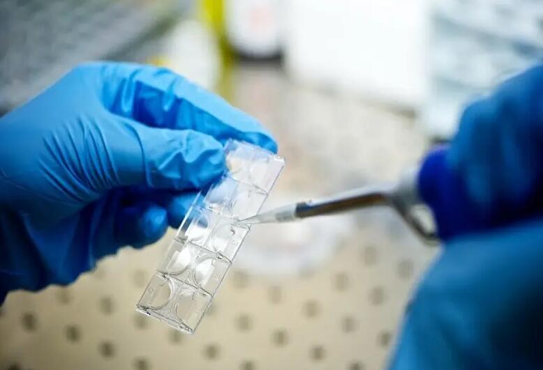 西安做试管价格 西安唐都做试管大概多少钱？做试管婴儿准备工作非常关键！ ‘女孩四维图片跟男孩一样吗’