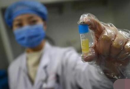 深圳做供卵试管 深圳北大试管婴儿成功率有多少 ‘怎么在b超单图片上看男女’