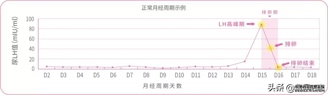备孕必知：排卵试纸的这些“秘密”，你读懂了吗？