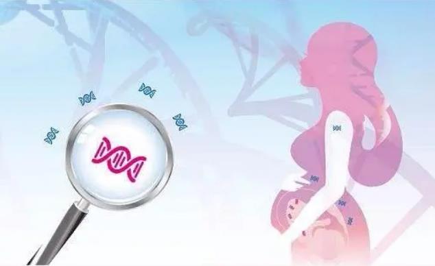 西宁试管供卵 西宁试管婴儿医院推荐 ‘b超看屁股查男女准吗’