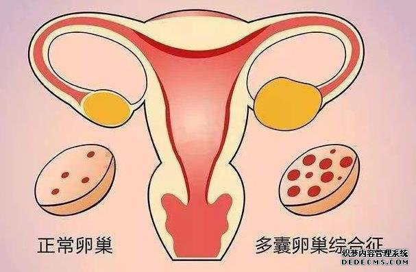 德州市人民医院做试管婴儿前期检查费用要多少？-德州市人民医院