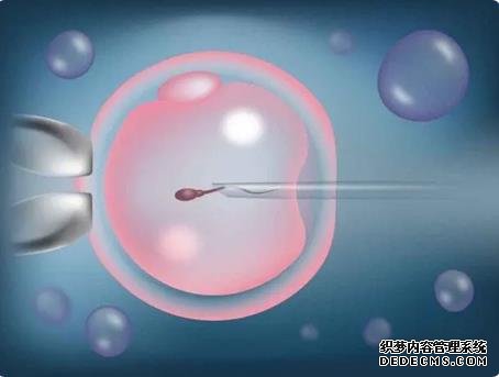 青岛供卵试管经验 青岛试管婴儿流程是什么？如何做青岛试管婴儿？ ‘孕囊鸭