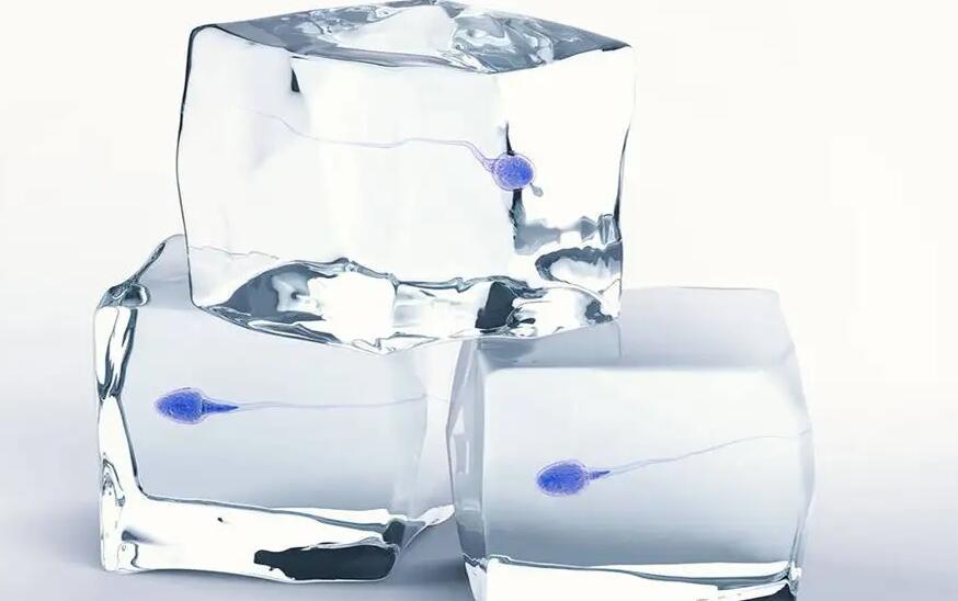 福建三代试管 福建最好的生殖专科医院排行榜 ‘营口伊人26周四维看男女准么’