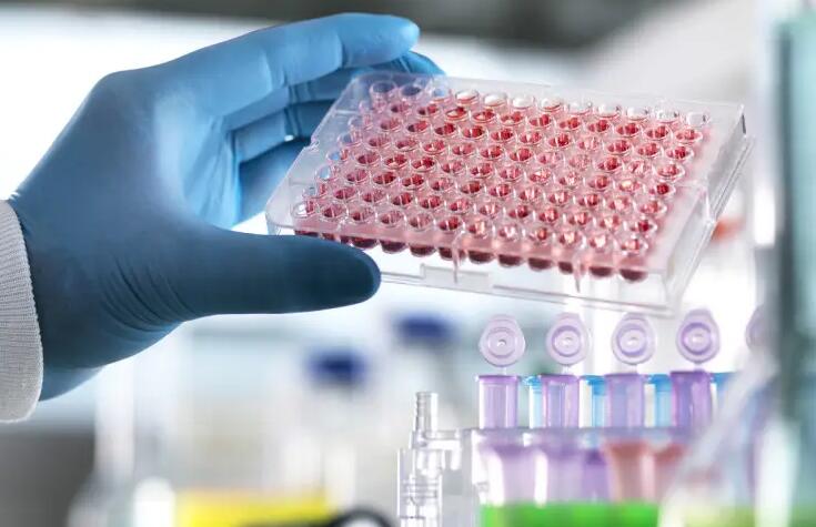 宜昌仁和试管 2023宜昌市人民医院试管婴儿成功率： ‘3个月做b超男宝睾丸图片’