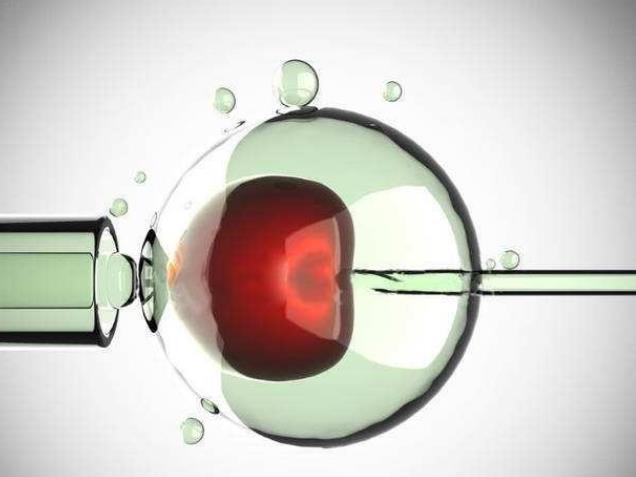 江苏省人民医院试管检查项目 江苏省人民医院供精试管流程介绍： ‘b超男女孩图像’