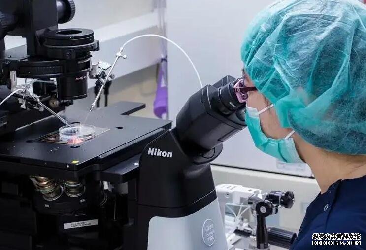 在福建捐卵 2022福建治疗宫腔粘连多少钱？ ‘24周胎儿四维彩超女孩’