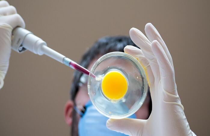 云南试管费用 2023云南省可以做供精的医院有哪些？内附成功率及费用一览 ‘怀孕30周b超数据看男女’