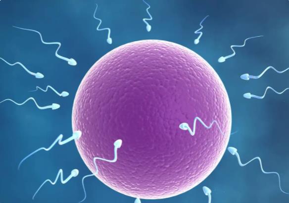 成都做试管医院 四川成都较好的私立试管生殖医院有哪些？ ‘怀女宝四维图片’