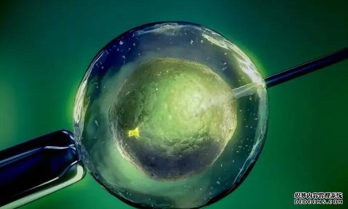 怀孕期间降糖迅速的十种食物一览，轻轻松松渡过糖筛检查