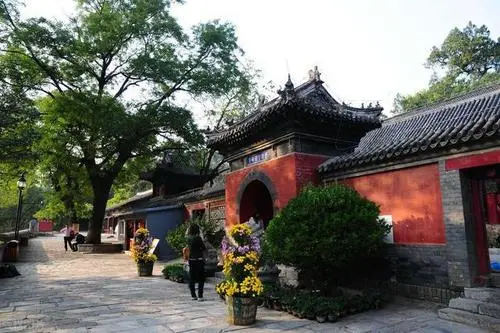 山西家园医院试管婴儿可以筛选性别吗？,山西大学人民医院二代试管进周后医生就是一对一了吗？