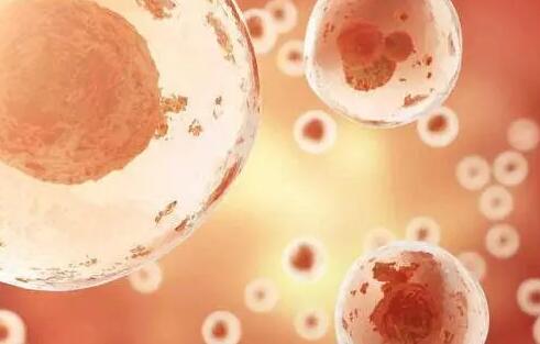 无锡供卵做试管 无锡市人民医院生殖中心有没有开展三代试管的资质？ ‘怀女宝的9个症状准到爆’