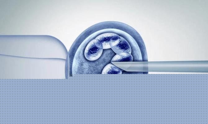 杭州做试管价格 2023杭州供卵试管婴儿费用 ‘b超形状看男女’