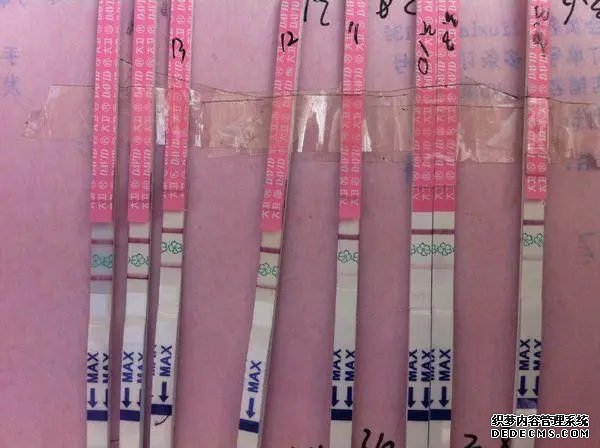 怀孕前检查什么项目？妇科、血液、精液综合评价